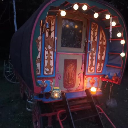 Git'An Perigord La Bohemienne Apartment Grolejac Ngoại thất bức ảnh