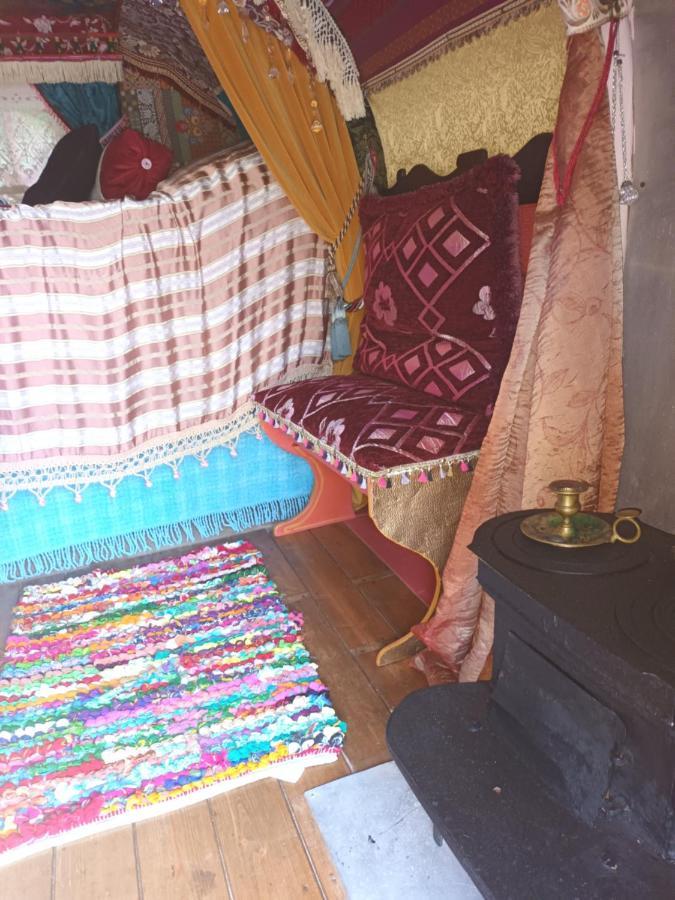 Git'An Perigord La Bohemienne Apartment Grolejac Ngoại thất bức ảnh